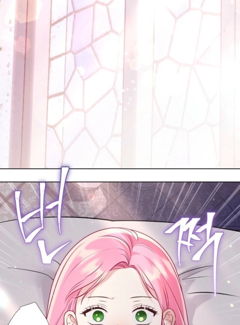 Read A Transmigrator’s Privilege Manga Online