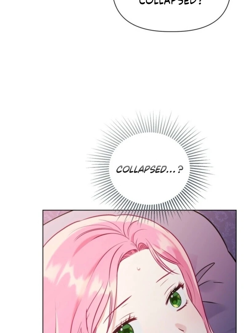 Read A Transmigrator’s Privilege Manga Online