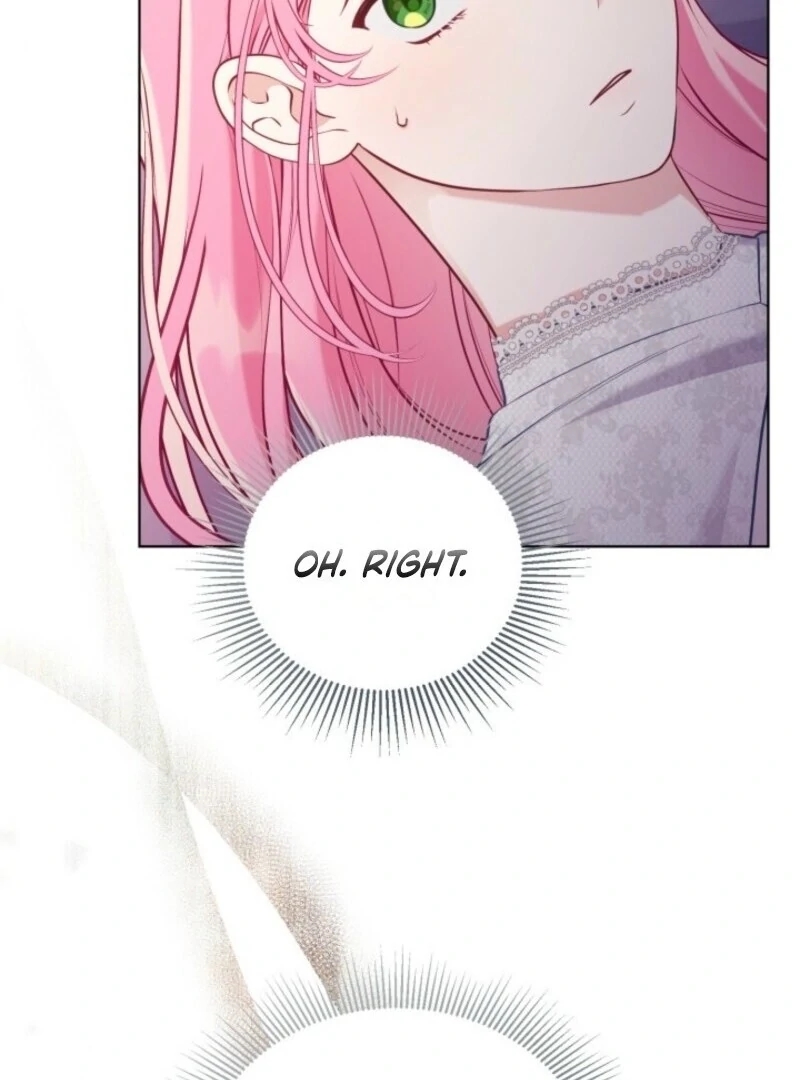 Read A Transmigrator’s Privilege Manga Online