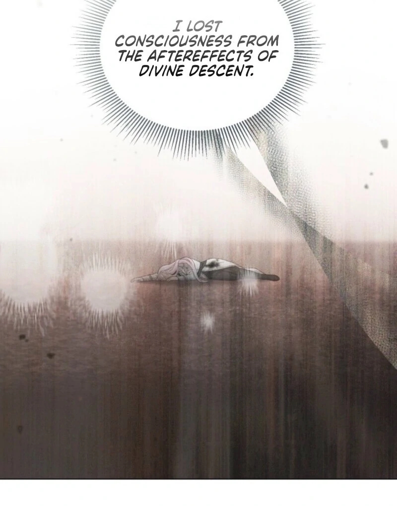 Read A Transmigrator’s Privilege Manga Online