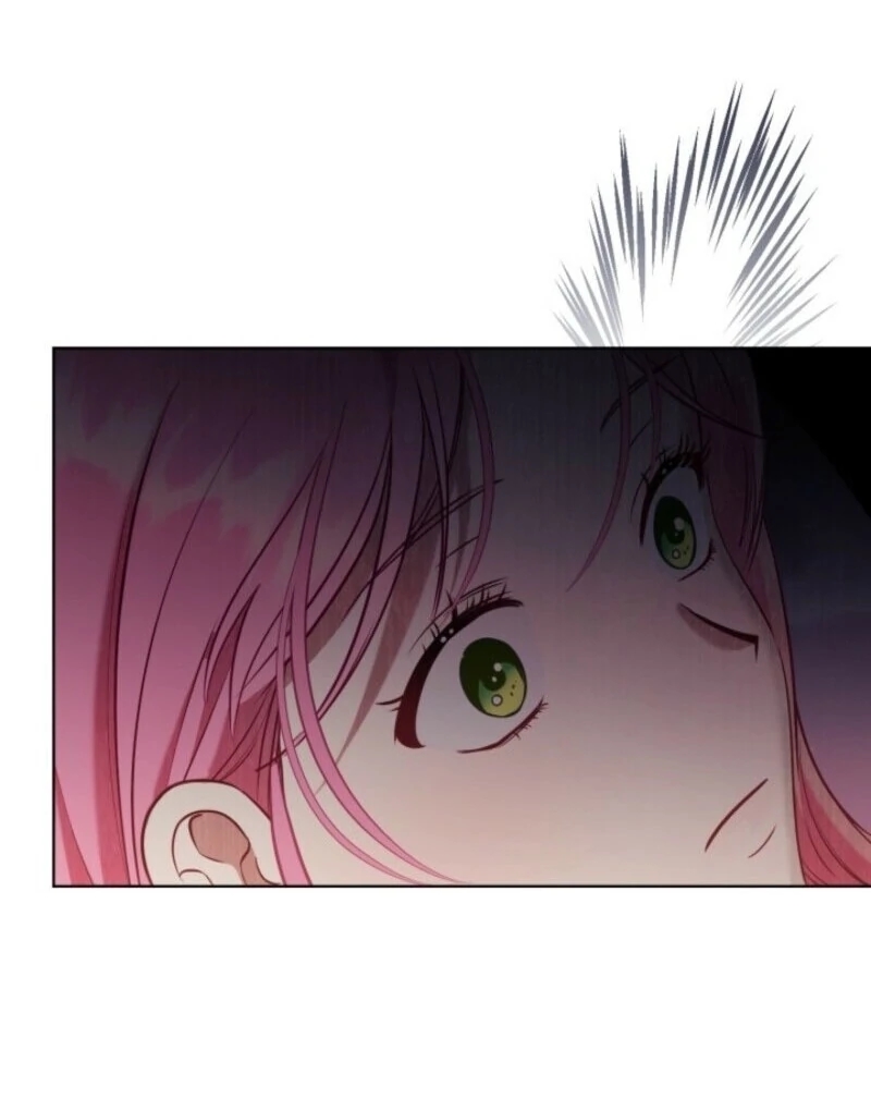 Read A Transmigrator’s Privilege Manga Online