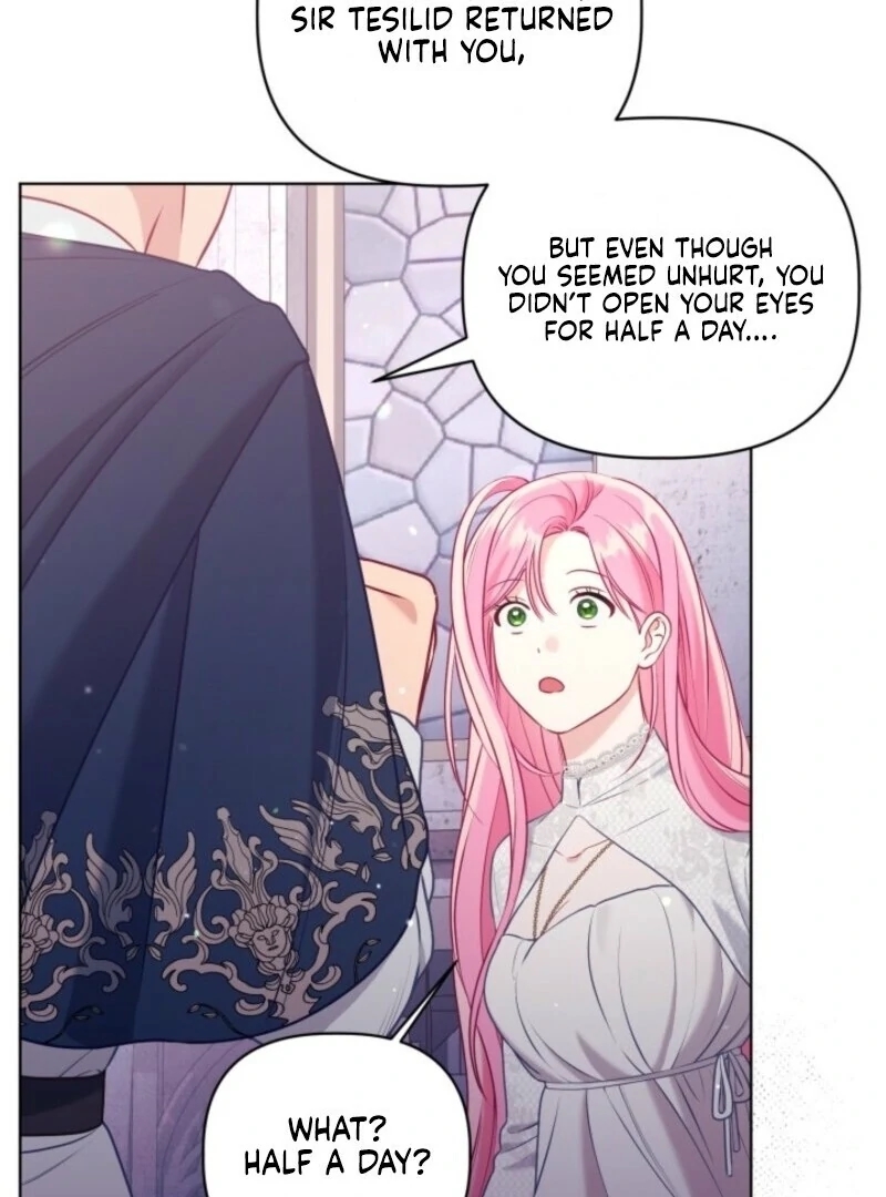 Read A Transmigrator’s Privilege Manga Online