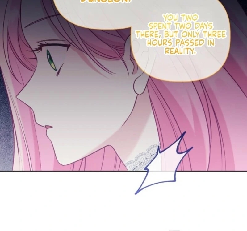 Read A Transmigrator’s Privilege Manga Online