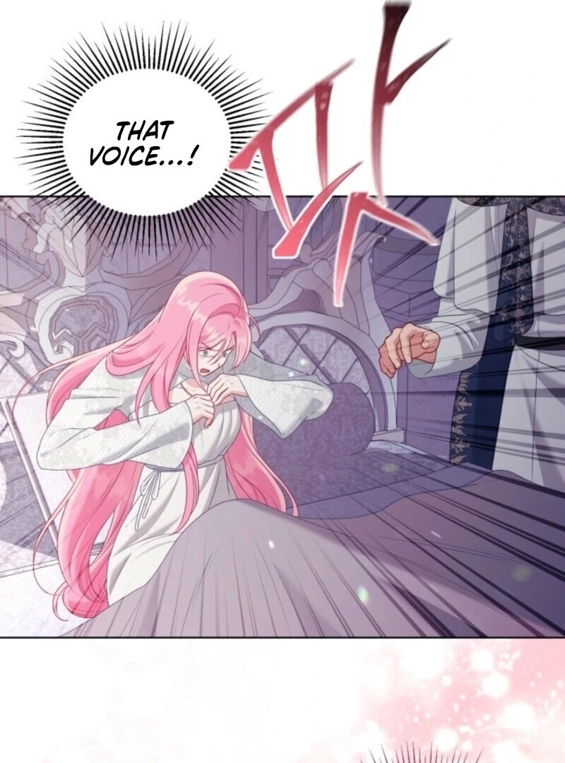 Read A Transmigrator’s Privilege Manga Online