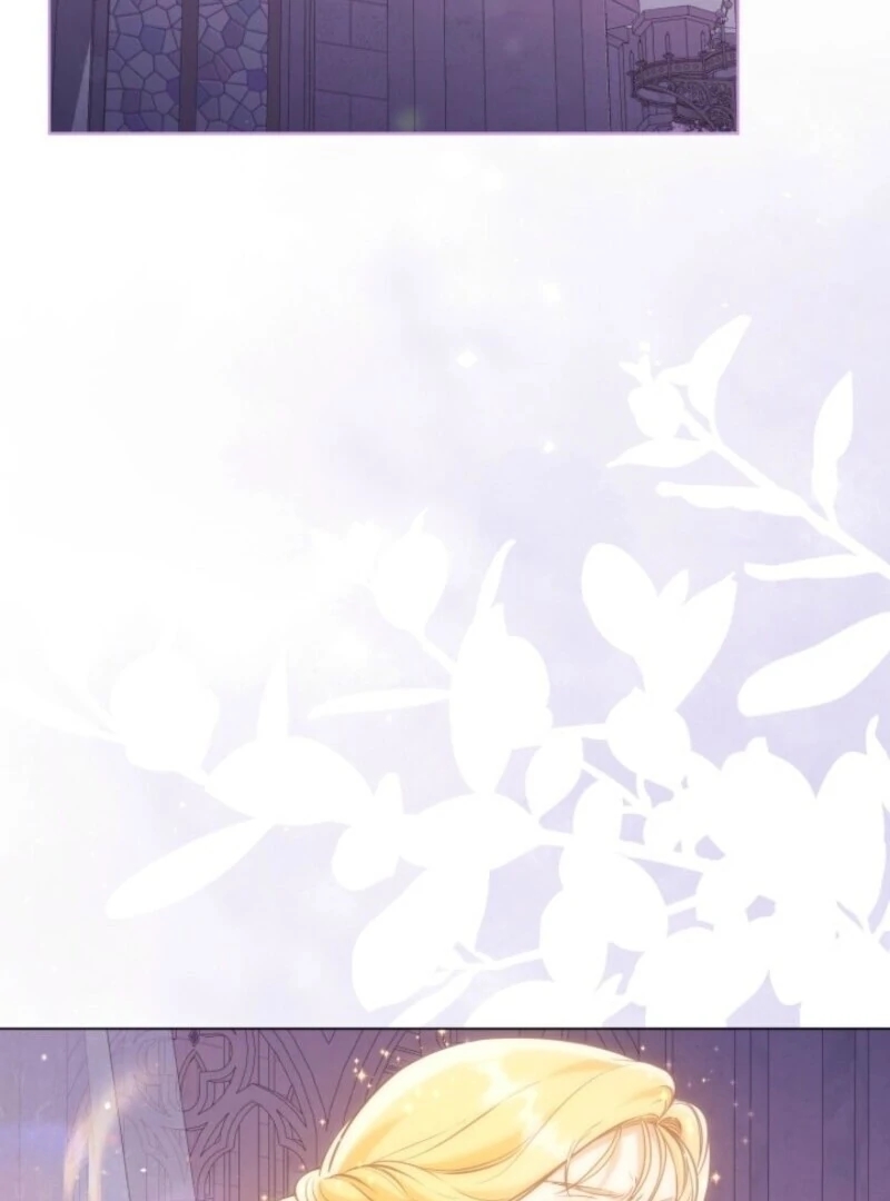 Read A Transmigrator’s Privilege Manga Online