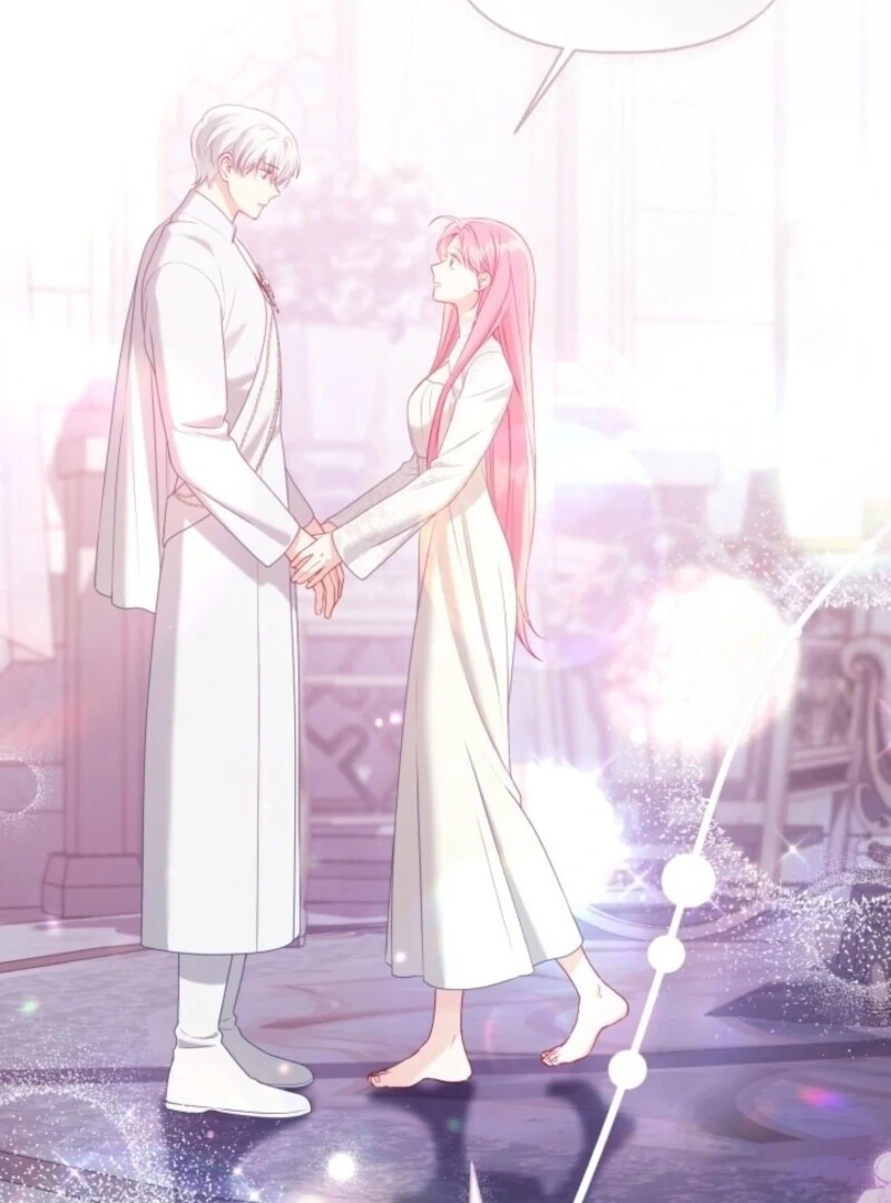 Read A Transmigrator’s Privilege Manga Online