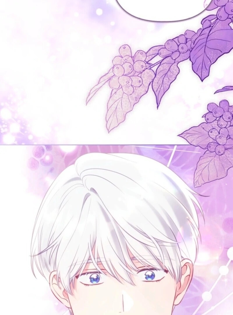 Read A Transmigrator’s Privilege Manga Online