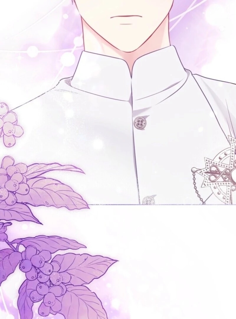 Read A Transmigrator’s Privilege Manga Online