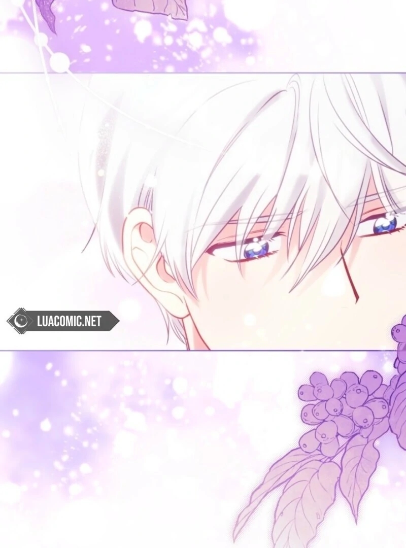 Read A Transmigrator’s Privilege Manga Online