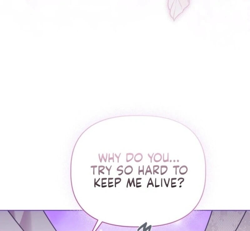 Read A Transmigrator’s Privilege Manga Online