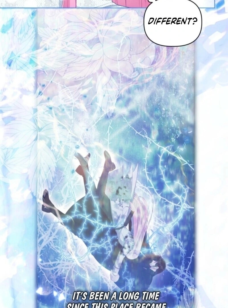 Read A Transmigrator’s Privilege Manga Online