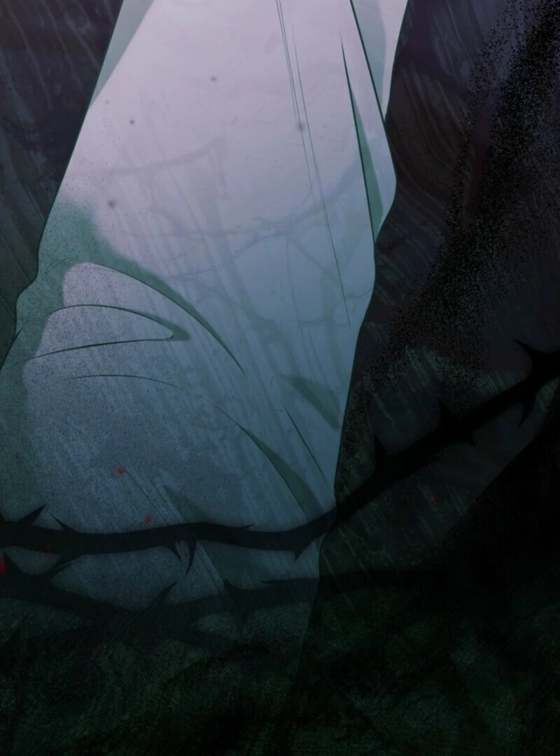 Read A Transmigrator’s Privilege Manga Online