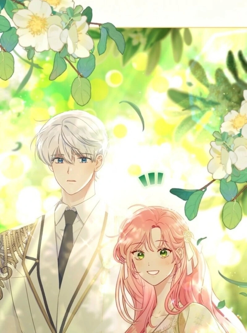 Read A Transmigrator’s Privilege Manga Online