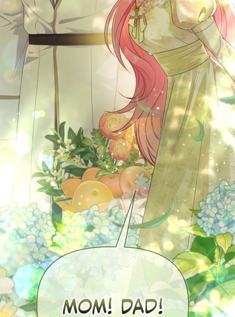 Read A Transmigrator’s Privilege Manga Online