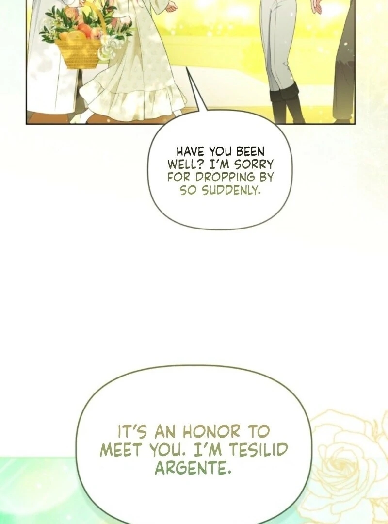 Read A Transmigrator’s Privilege Manga Online