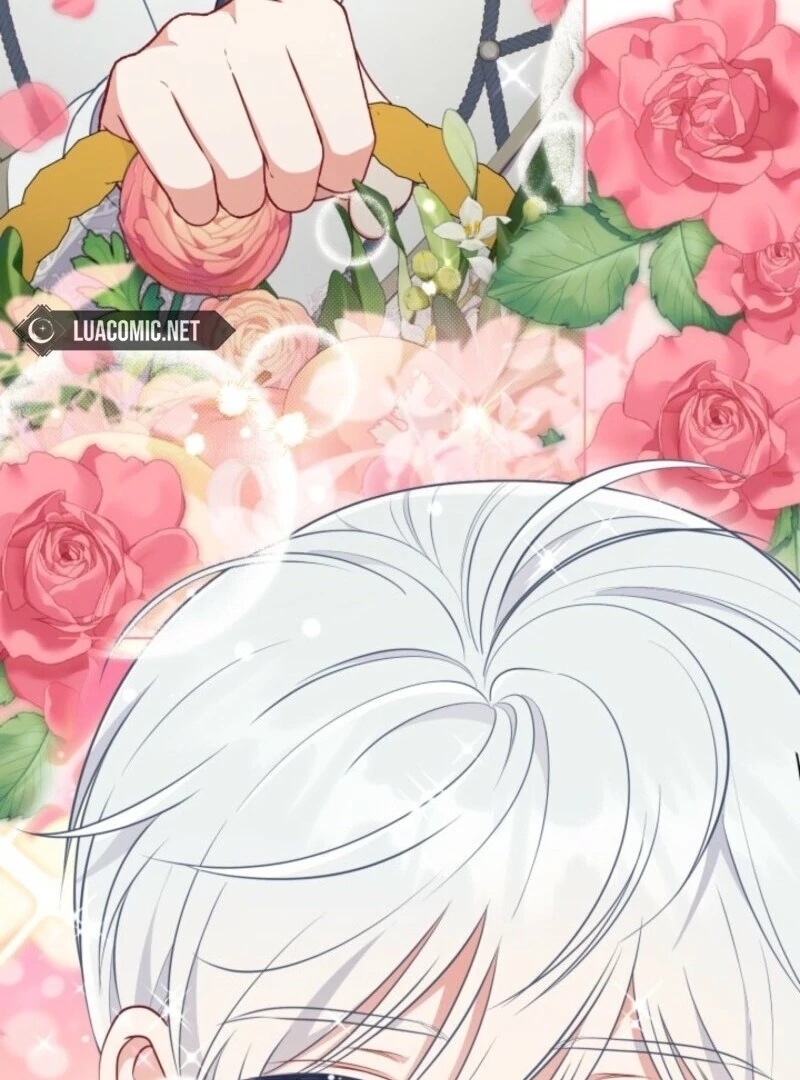 Read A Transmigrator’s Privilege Manga Online