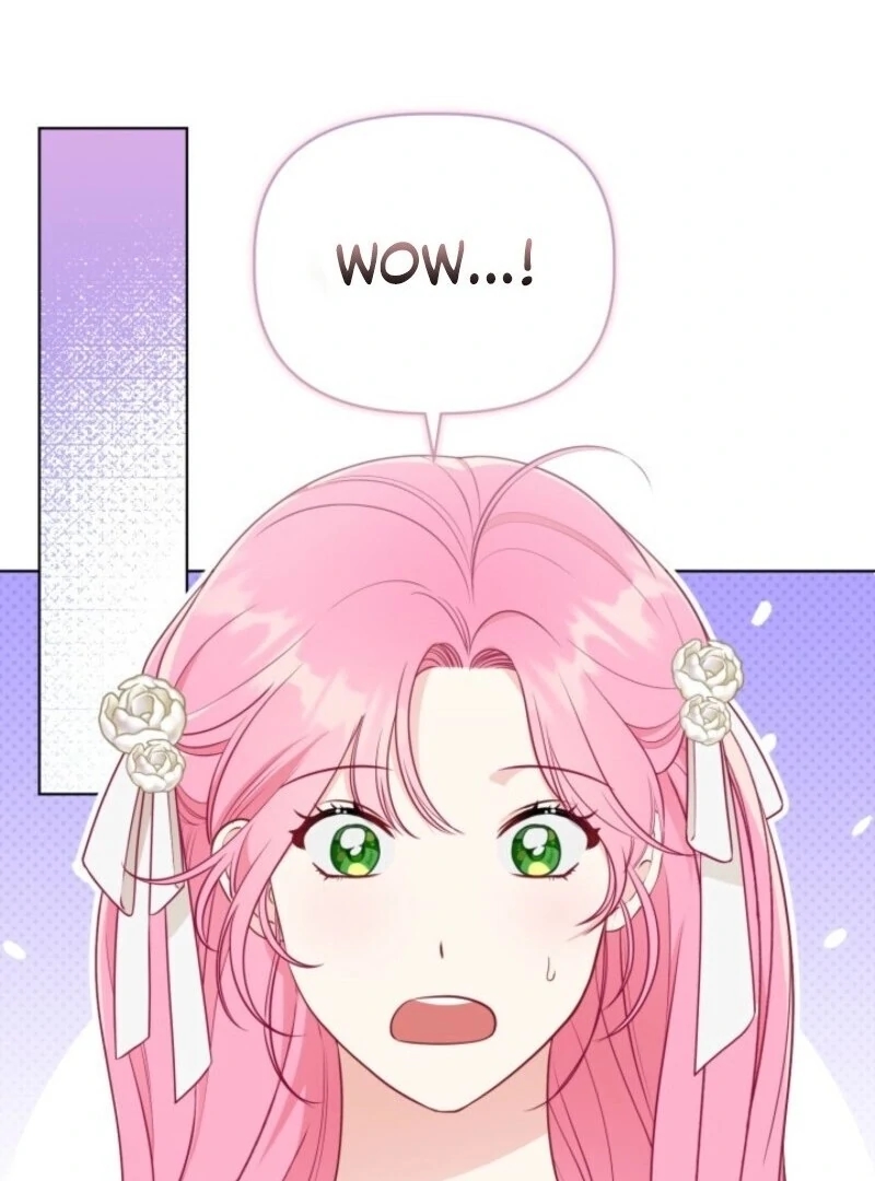 Read A Transmigrator’s Privilege Manga Online