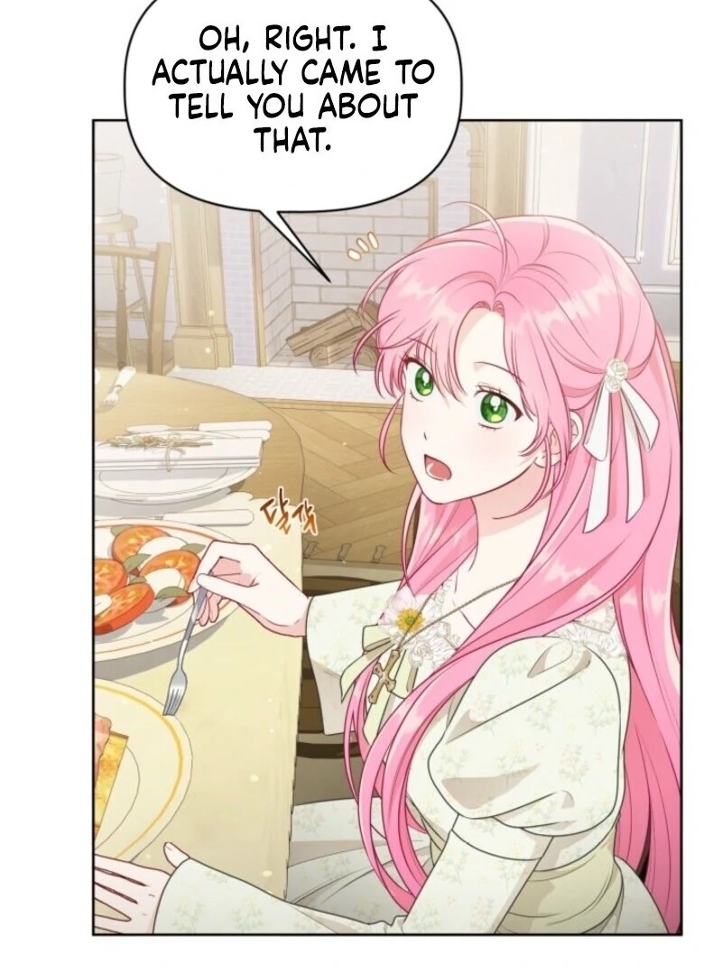 Read A Transmigrator’s Privilege Manga Online