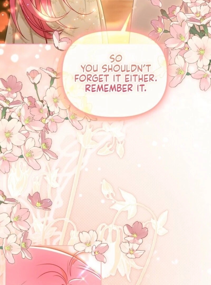 Read A Transmigrator’s Privilege Manga Online