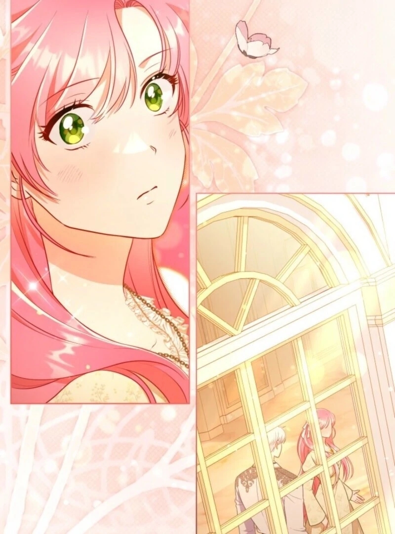 Read A Transmigrator’s Privilege Manga Online