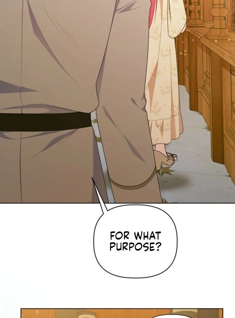 Read A Transmigrator’s Privilege Manga Online