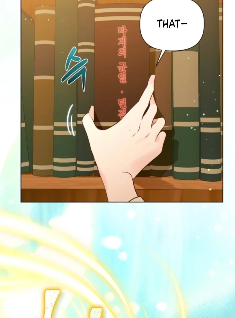 Read A Transmigrator’s Privilege Manga Online