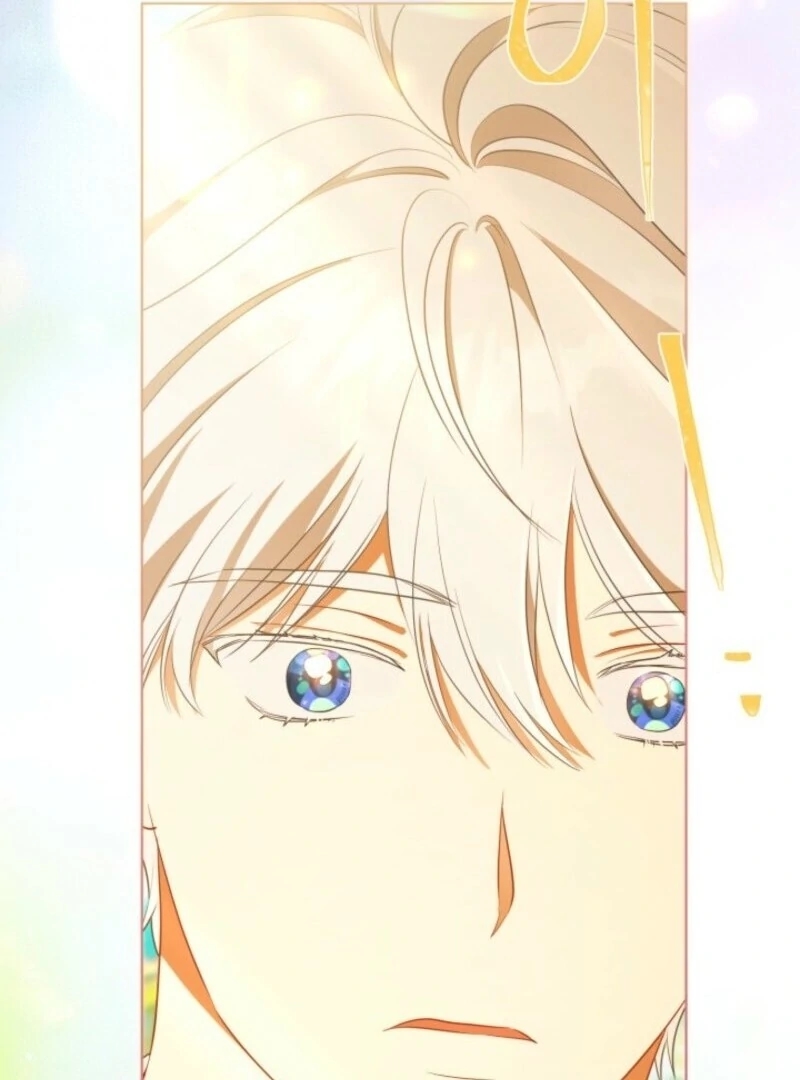 Read A Transmigrator’s Privilege Manga Online