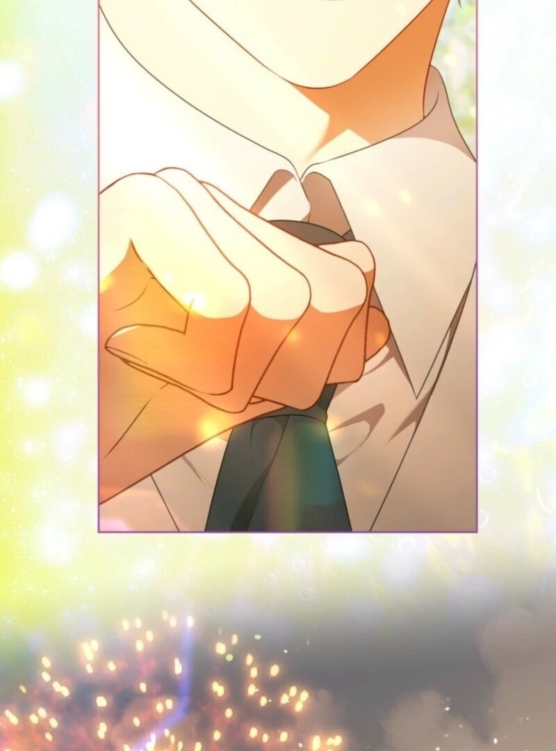 Read A Transmigrator’s Privilege Manga Online