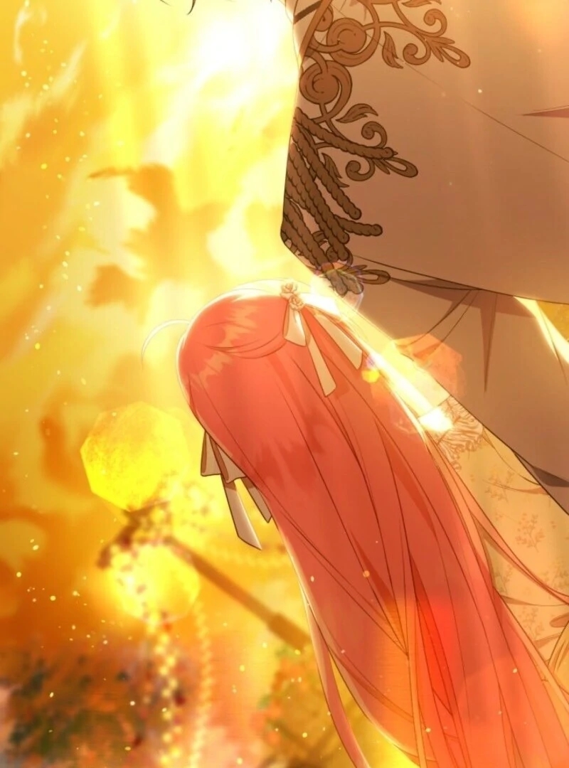 Read A Transmigrator’s Privilege Manga Online