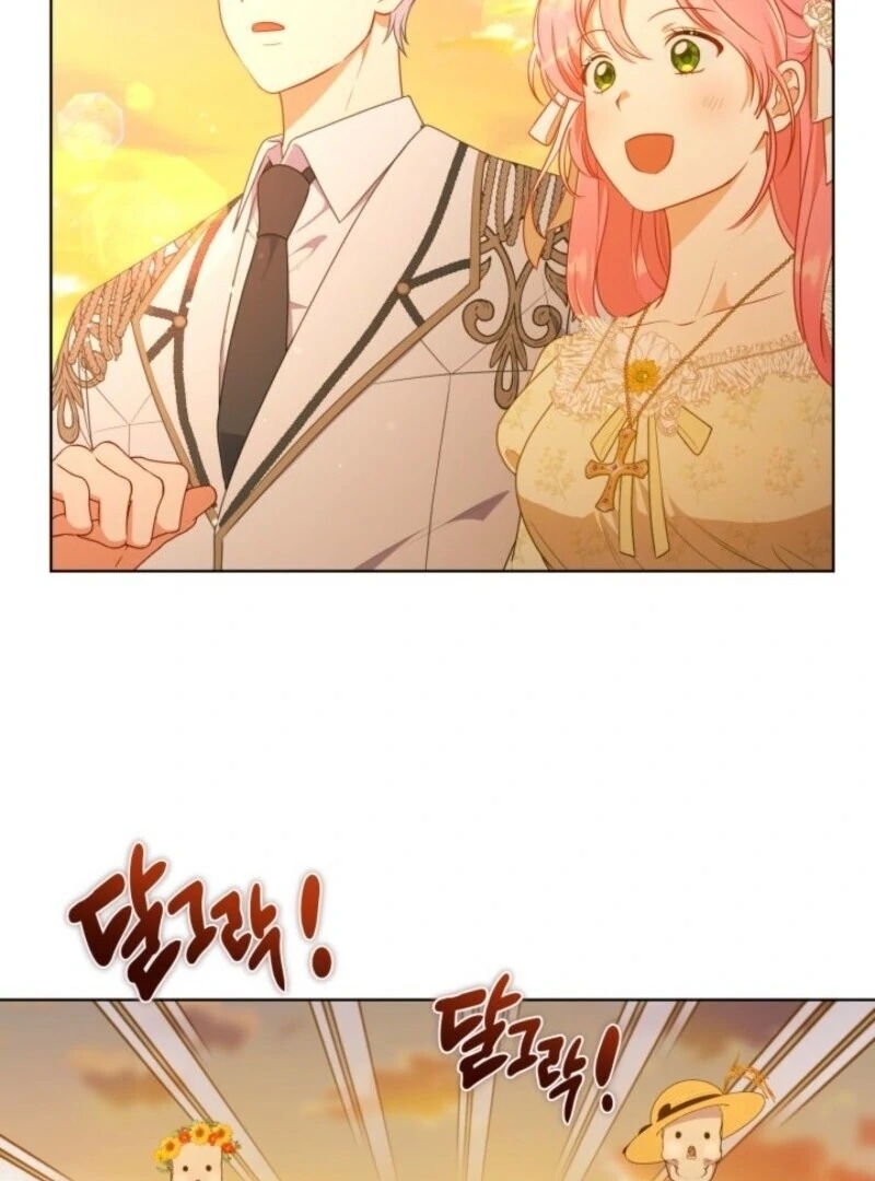 Read A Transmigrator’s Privilege Manga Online