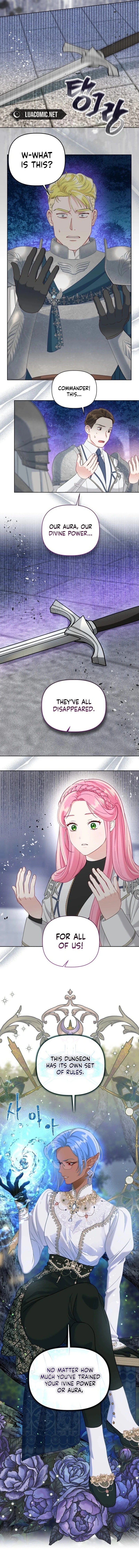 Read A Transmigrator’s Privilege Manga Online