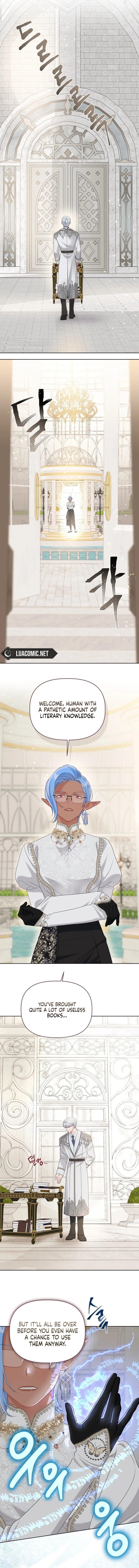 Read A Transmigrator’s Privilege Manga Online