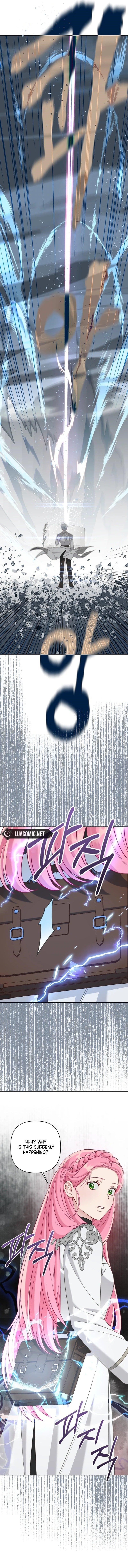 Read A Transmigrator’s Privilege Manga Online