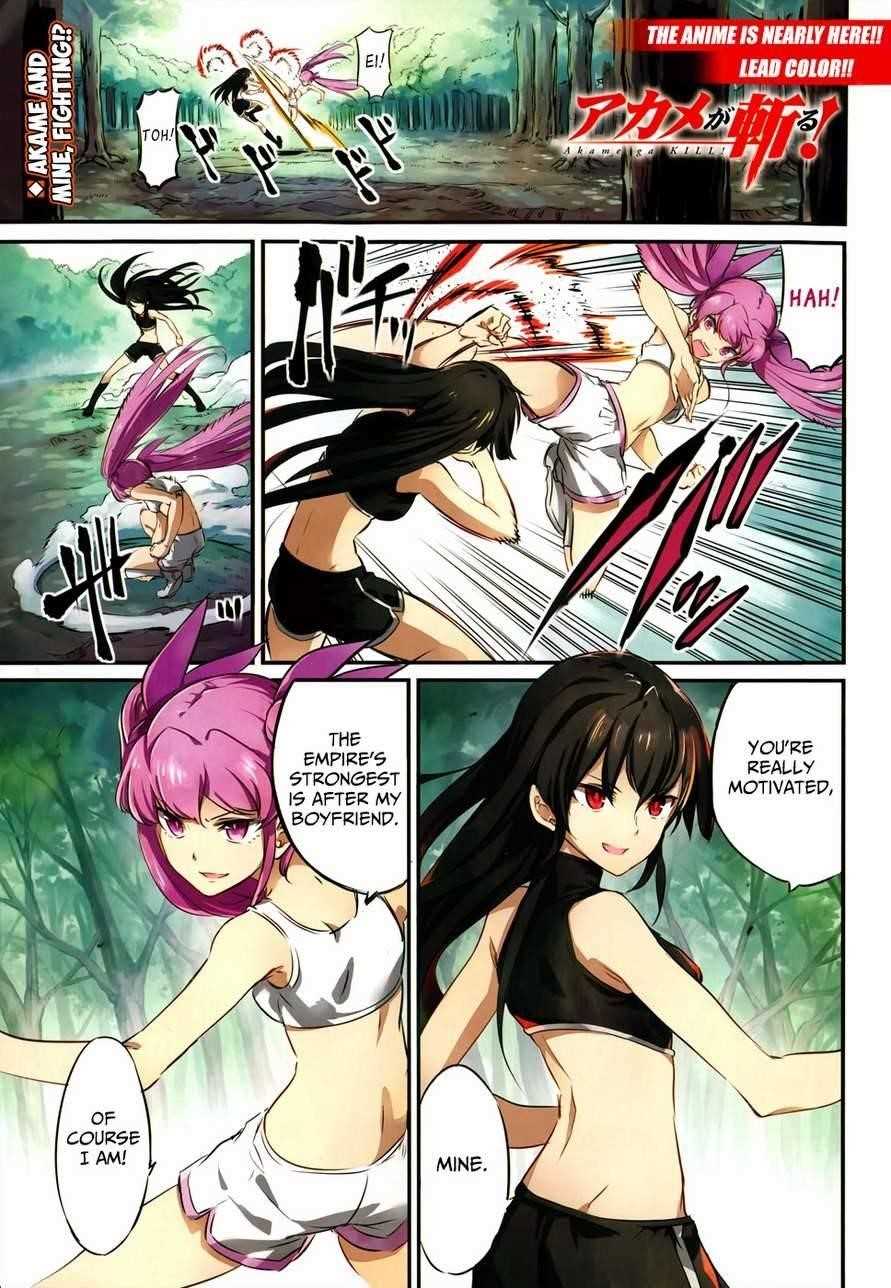 Read Akame Ga Kill! Manga Online