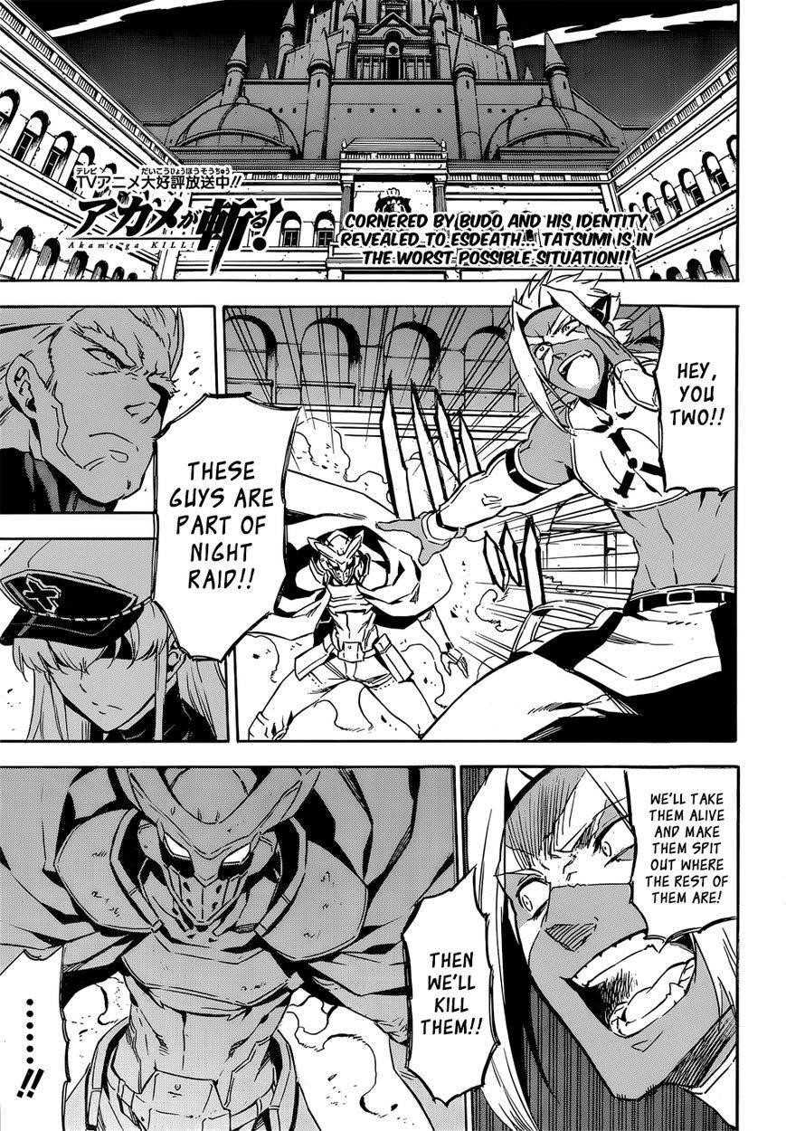 Read Akame Ga Kill! Manga Online