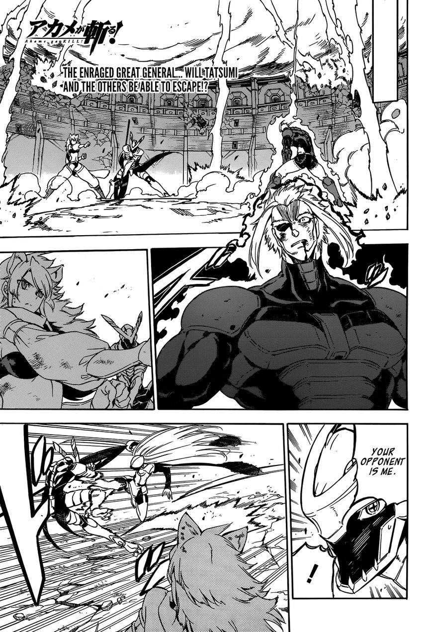 Read Akame Ga Kill! Manga Online
