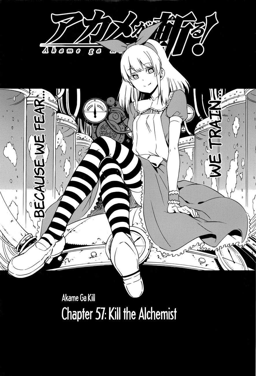 Read Akame Ga Kill! Manga Online