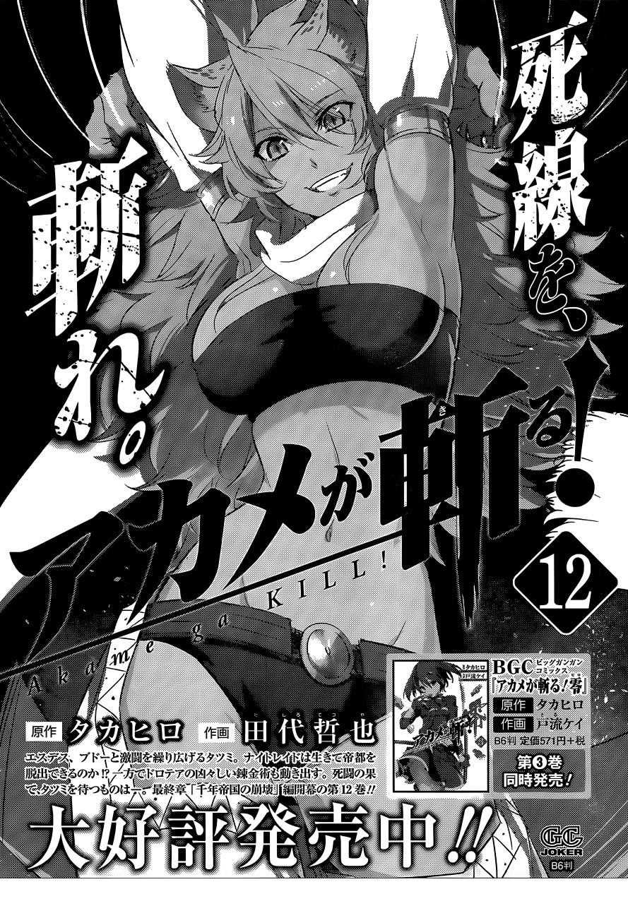 Read Akame Ga Kill! Manga Online