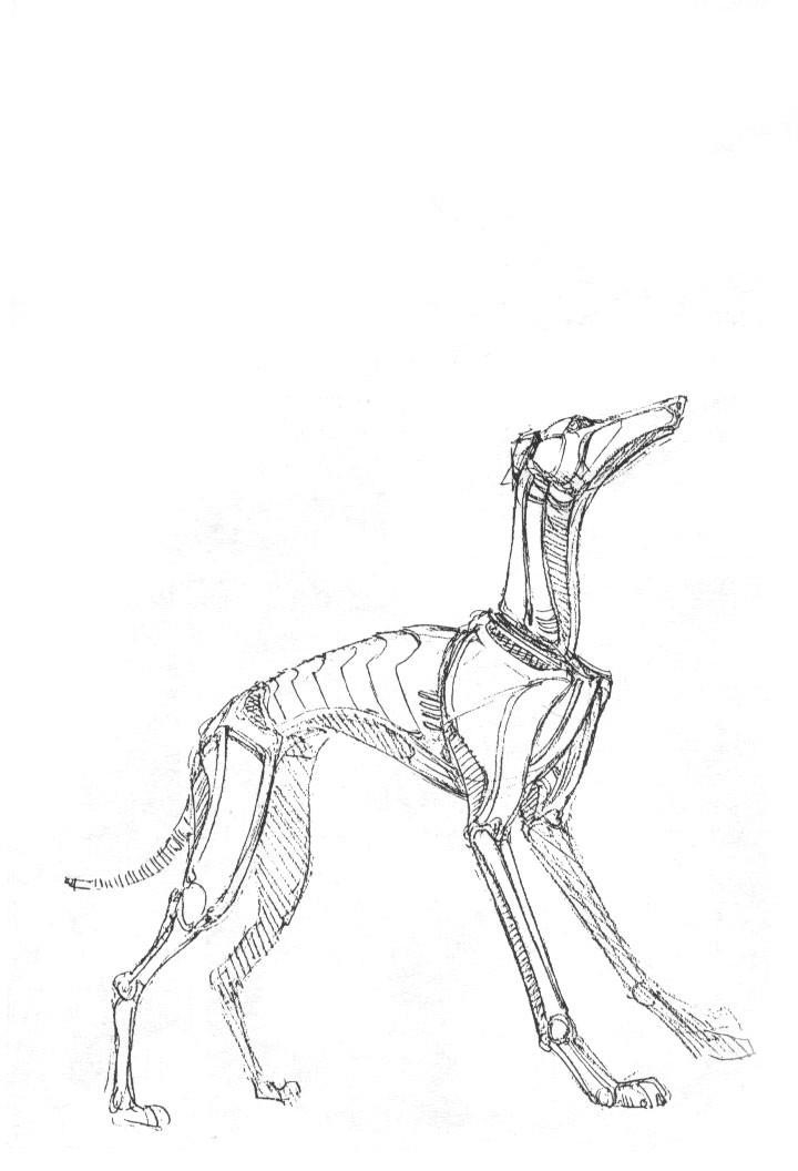 Read Battle Angel Alita Manga Online