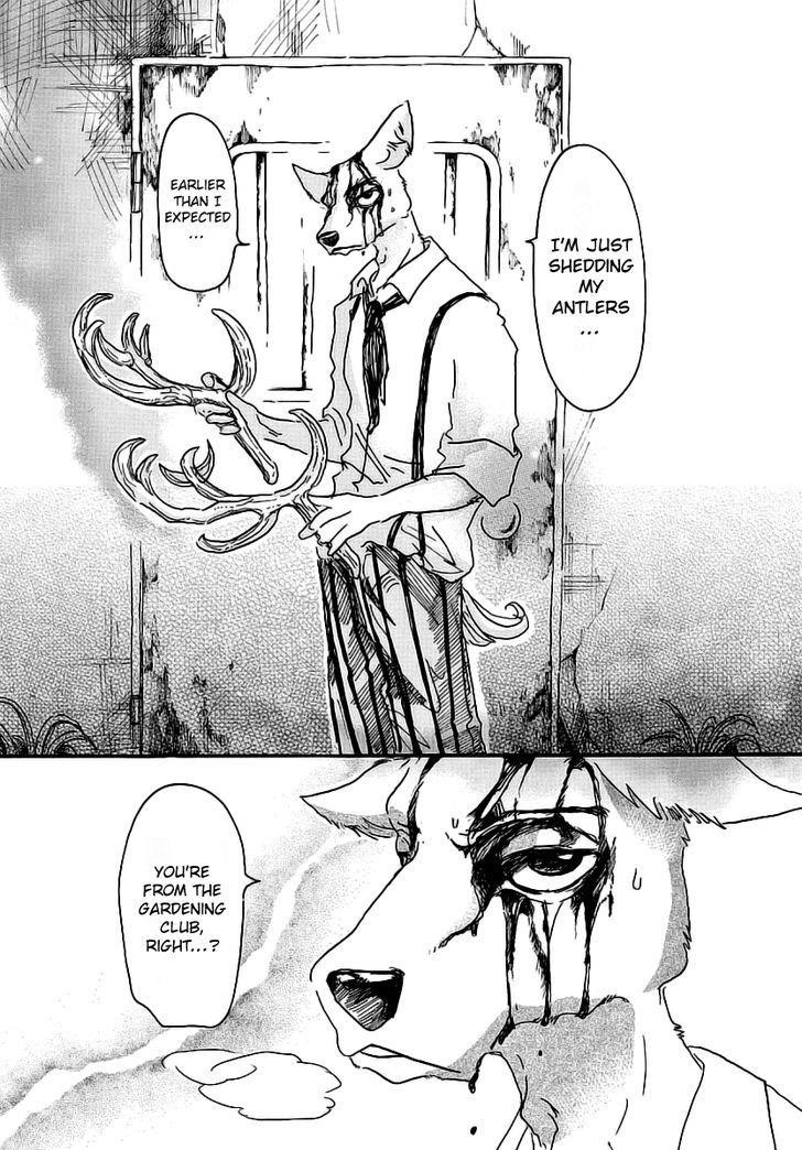 Read Beastars Manga Online