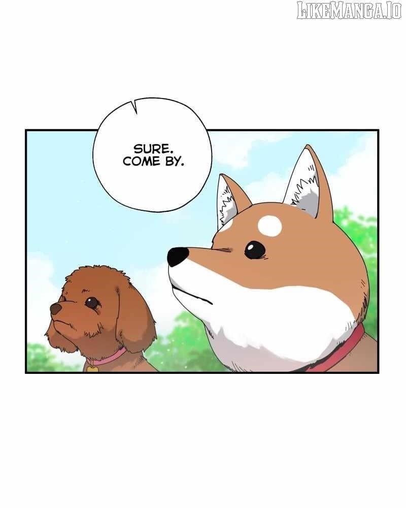 Read Black Sun Manga Online