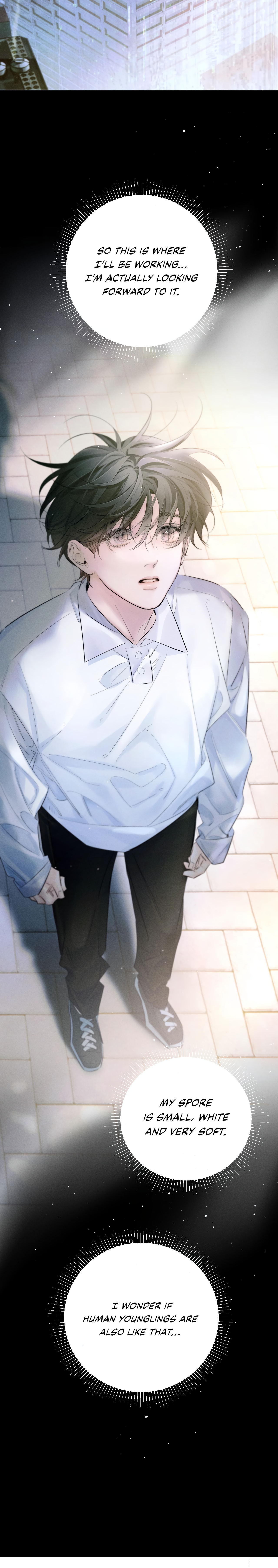 Read Little Mushroom Manga Online