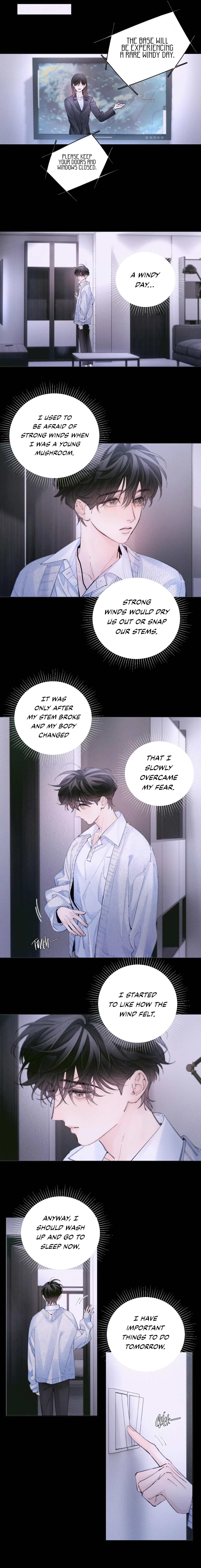 Read Little Mushroom Manga Online