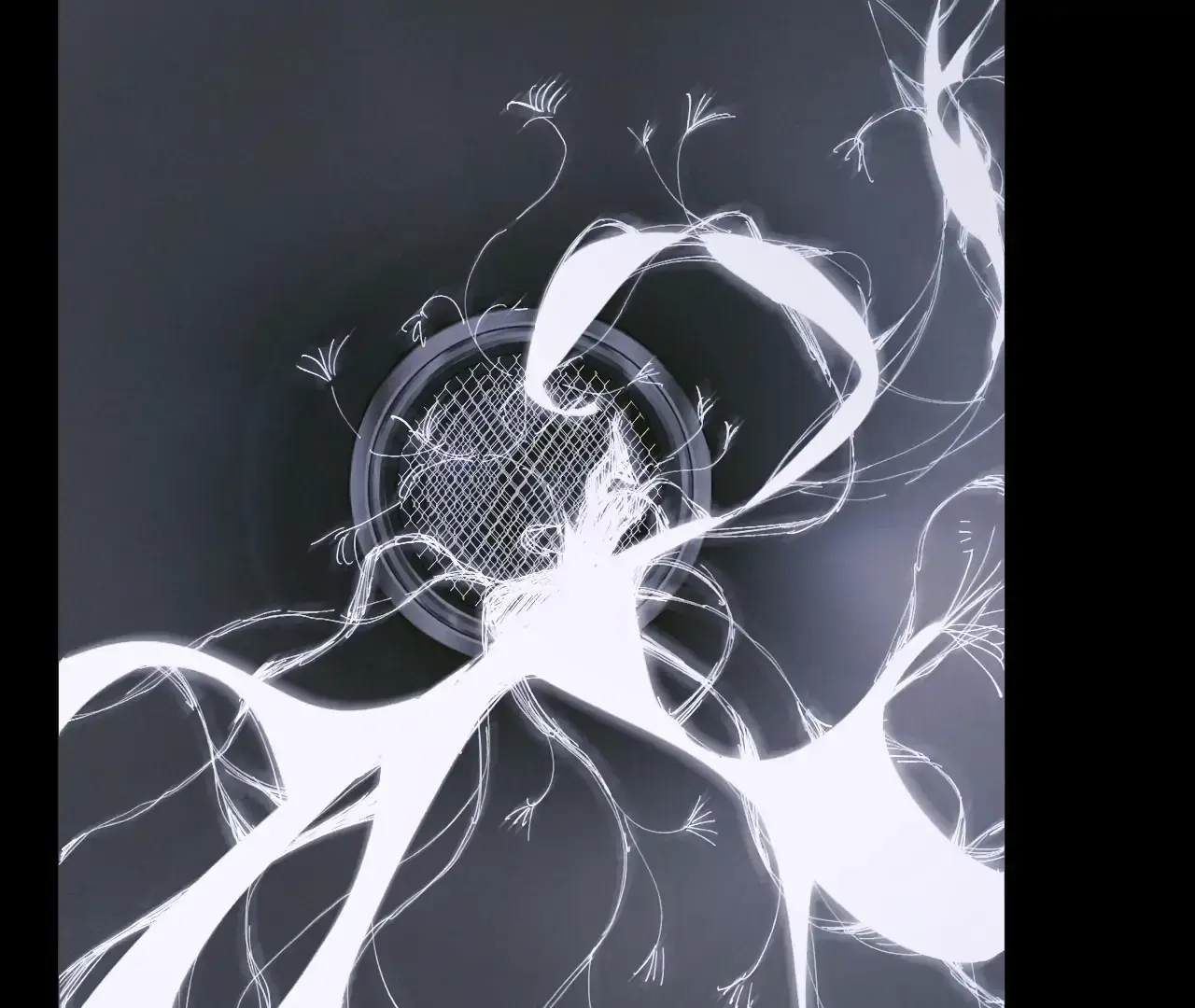 Read Little Mushroom Manga Online