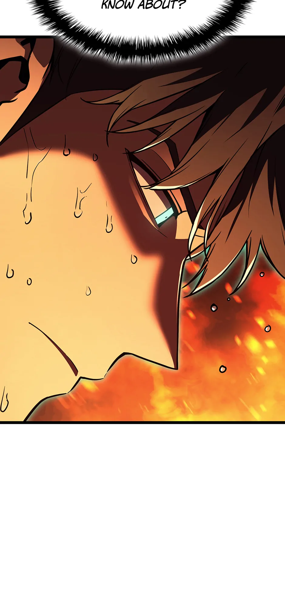 Read The Return of the Disaster Class Hero Manga Online