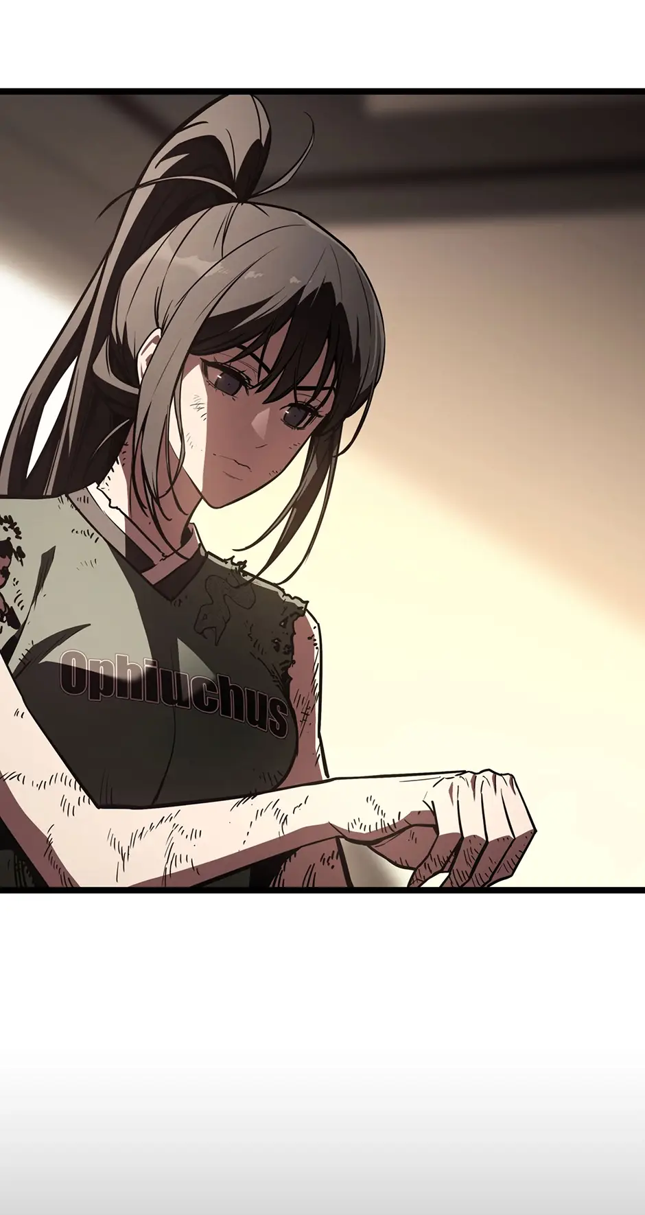 Read The Return of the Disaster Class Hero Manga Online