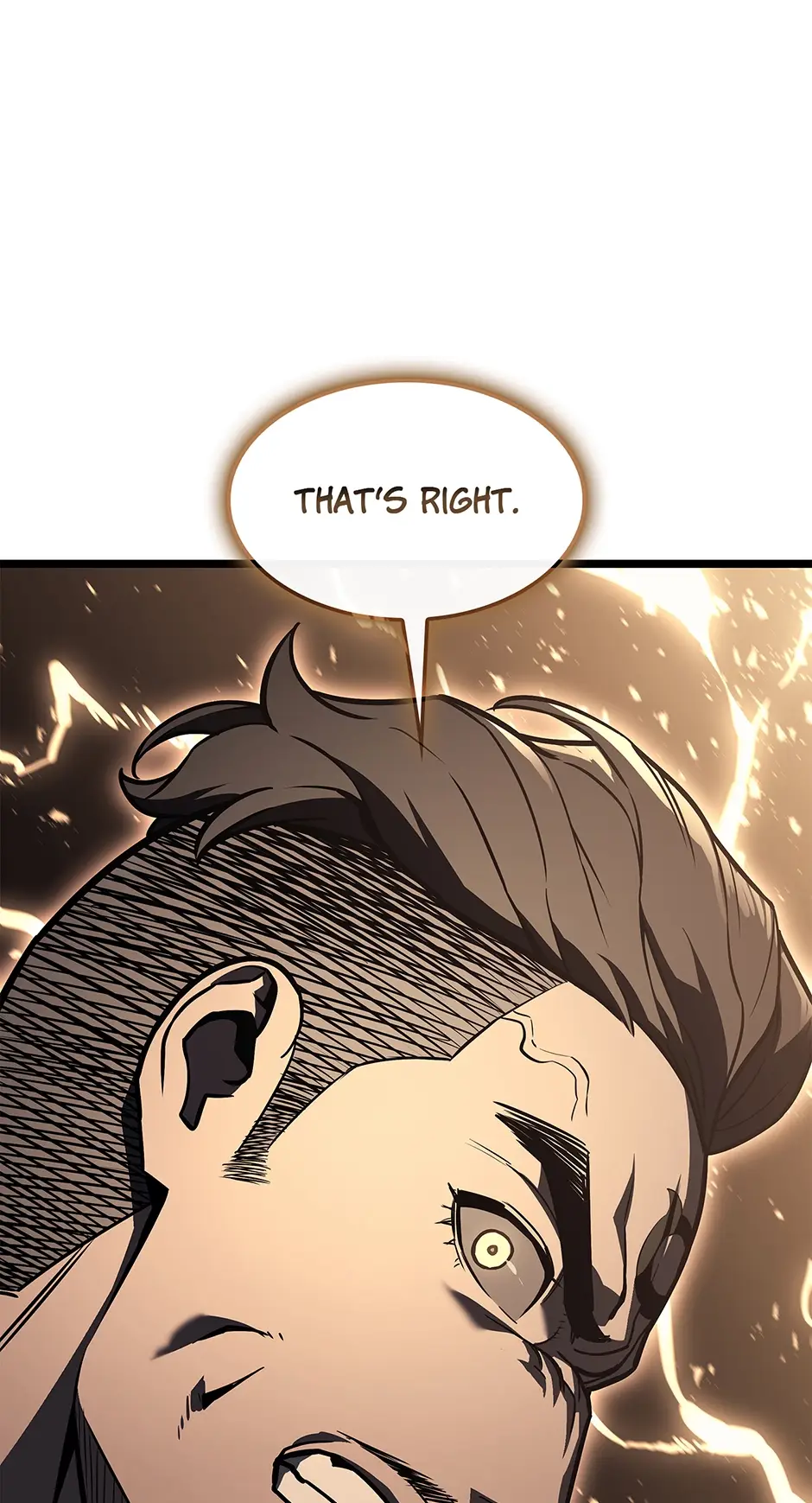 Read The Return of the Disaster Class Hero Manga Online