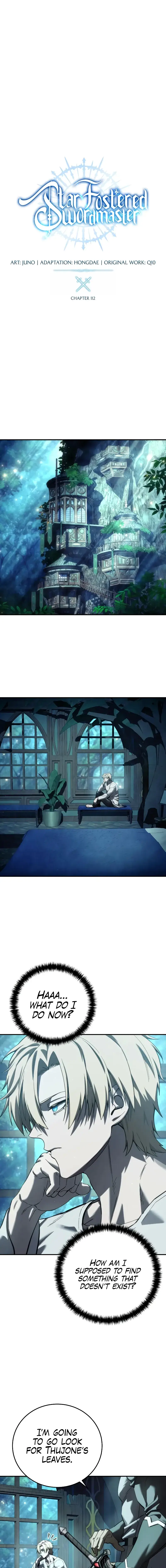 Read The Stellar Swordmaster Manga Online