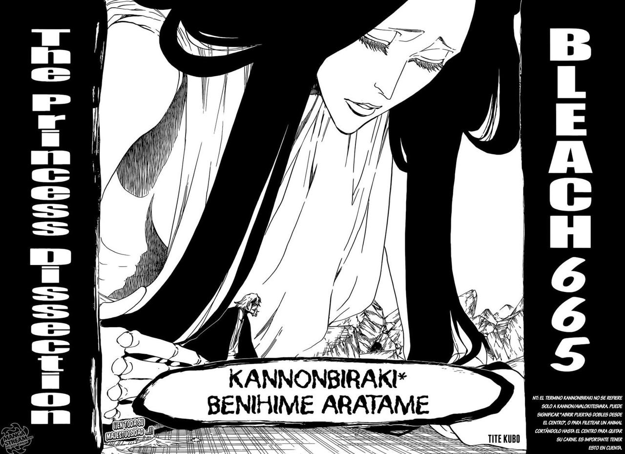 Read Bleach ES Manga Online