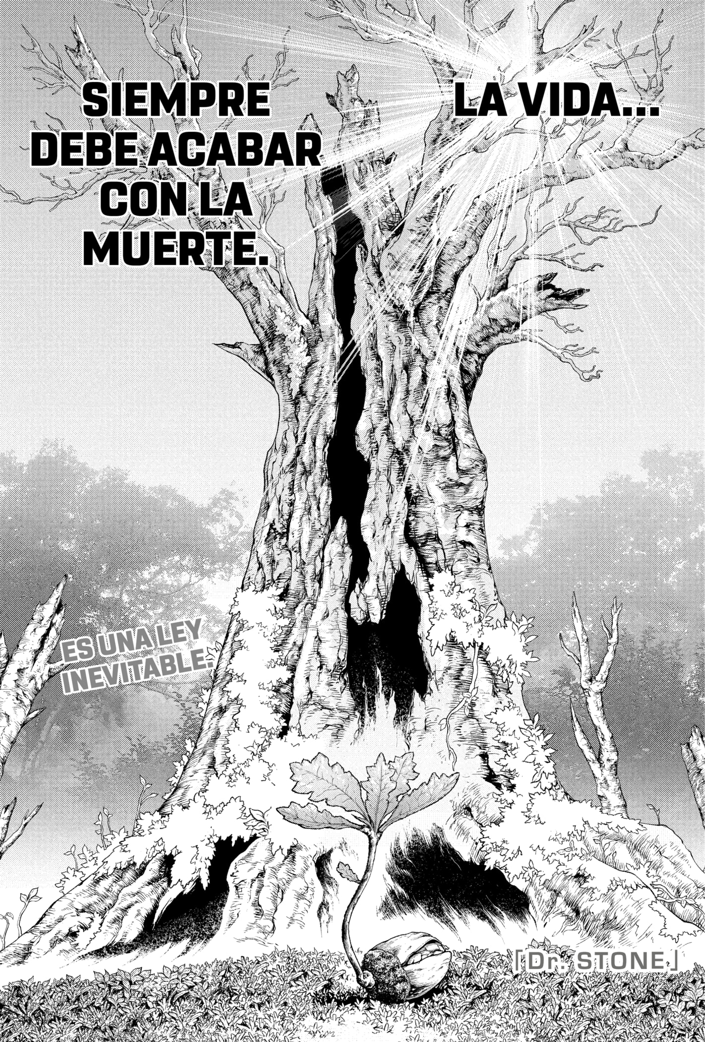 Read Dr Stone ES Manga Online